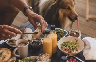 Okno Na Ślężę - Foto 10