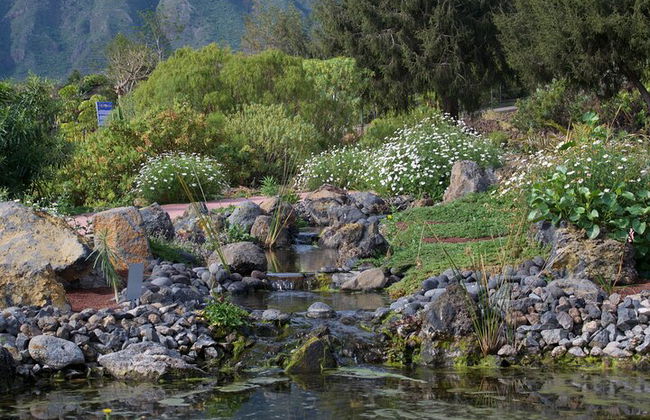 "Pyramiden von Güímar Eintritt PREMIUM Ticket" - Foto 26