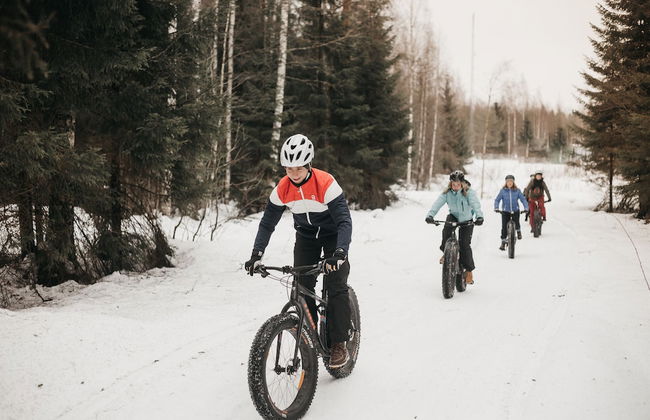 Revontuli Resort Cottages - Foto 52