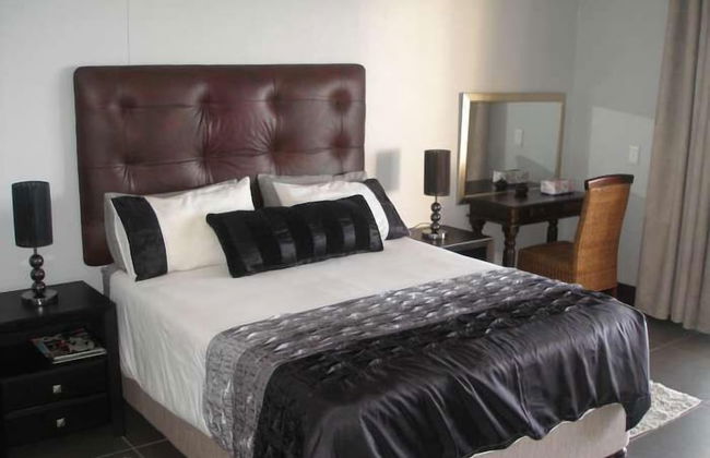 Lazy Lizard - Foto 1