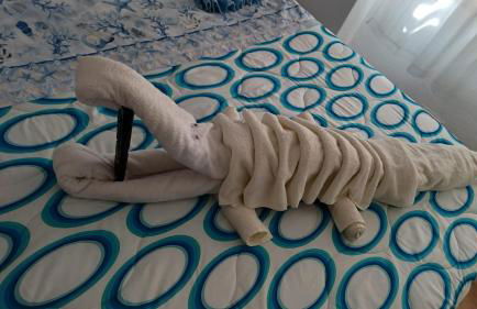 Alicante Postiguet Studios - Photo 17