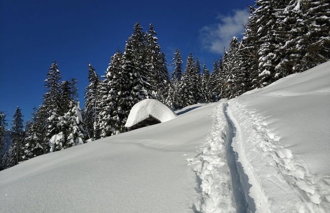 Mascherhof - Foto 40