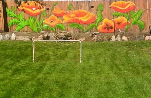 Top Property, Fishermen, Pool Passes, One Minute To The Hot Springs, Location Perfect & Amenity Rich, Pup Friendly, Discover An Exceptional Wyoming Stay, Thermopolis River Walk Home at Hot Springs State Park, 'Where Families and Fisherman Stay' - Foto 31