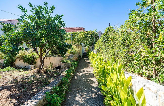 Apartments Lidija - Foto 38