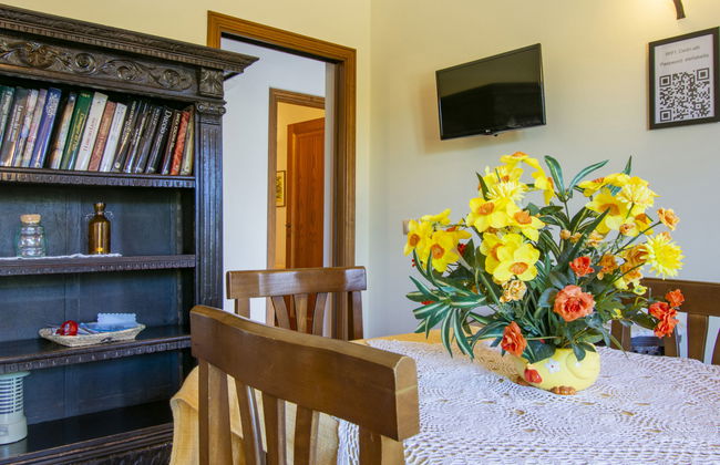 Cedri Alti - Photo 10