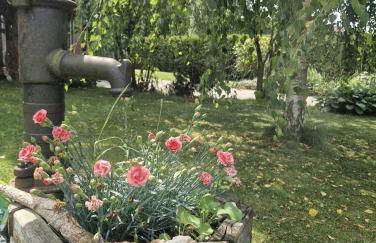 Ferienwohnung Thomée - Ruhig gelegen, ideal für Monteure und Erholungssuchende - Foto 18