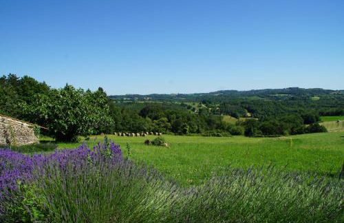 Domaine De La Licorne - Foto 10