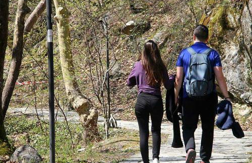 "The plane trees" - Foto 59