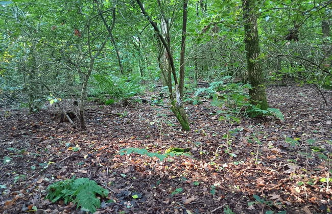 6 Person Holiday Home in Bording - Foto 20