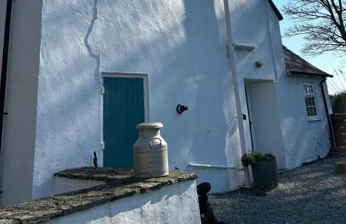 Bodior Garden Cottage Bach - Photo 24