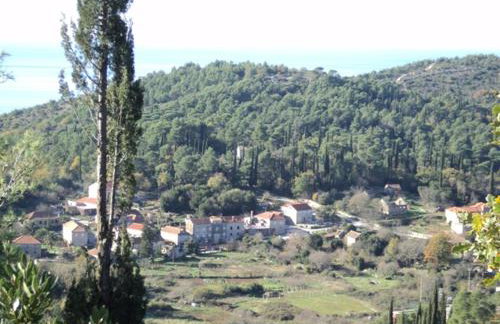 Country House Konavle - Foto 36