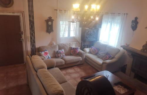 Los corzos - Photo 13