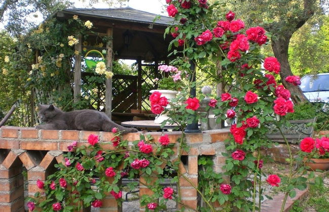 Il Quadrifoglio - Foto 49