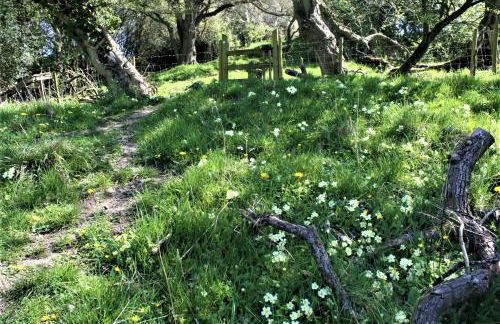 Tranquil countryside cottage for two - Foto 27