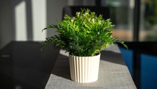 Apartamento familiar en Torreblanca con vistas al mar, AC, wifi y cerca de la playa - Foto 5