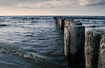 Ptasi Dom — Saunowisko w Kępie - Foto 32