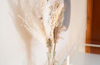 The Scotch Rock - Photo 27