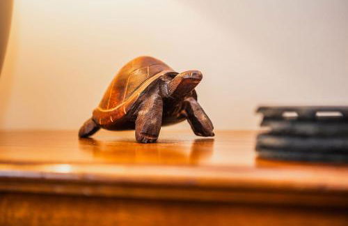 North Quarter Steading No 11 - Kingsbarns - Foto 11