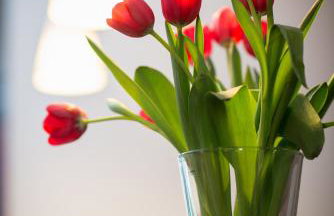 APARTmenthouse Rülzheim - Foto 7