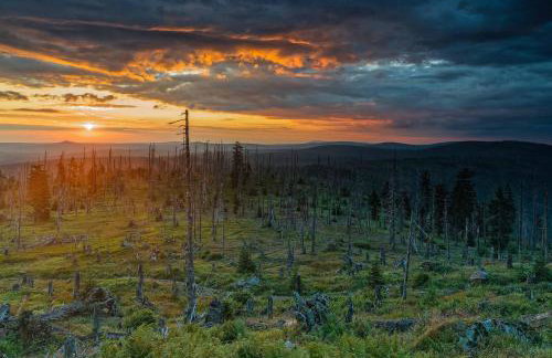 Ferienwohnung im Landhaus am Nationalpark - Foto 23