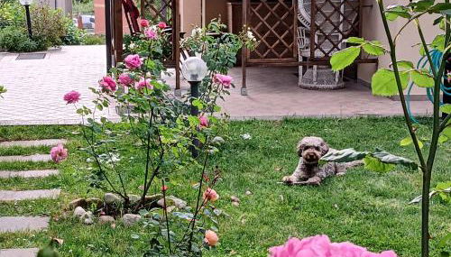 La Graziosa Dépendance - Foto 3