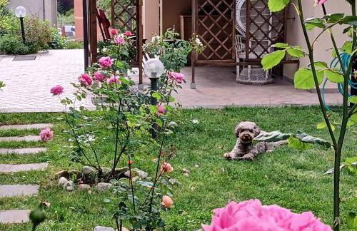 La Graziosa Dépendance - Foto 3