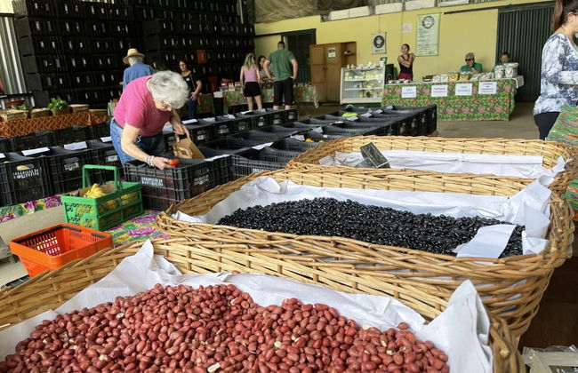 Casagon Alves in Gon Alves - Foto 57