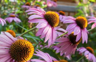 Kircherhof - Foto 27