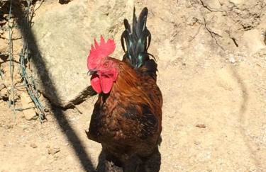 Dimorra Country House - Foto 34