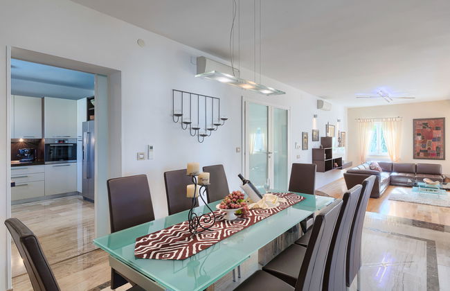 Salamander - Foto 15