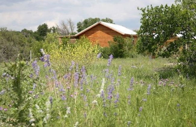 City on a Hill at Spring Creek - Foto 80