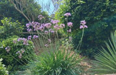 Rez de Jardin d'une Bastide VILLA LA GARDI avec Piscine privée - Foto 6
