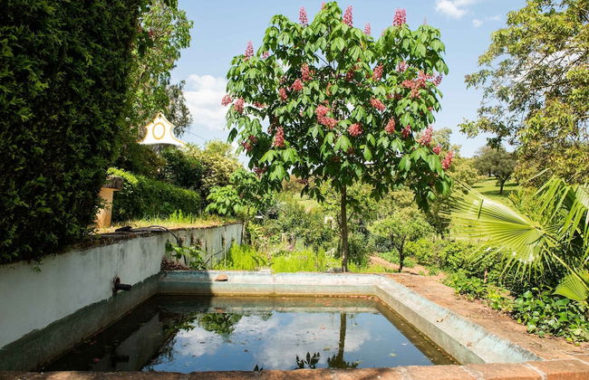 Farmhouse in Montemor-o-novo With Pool - Foto 18