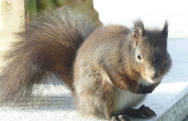 Dream View Comfortable Holiday Residence - Foto 16