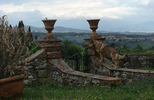 Agriturismo Podere la Cava - Foto 32