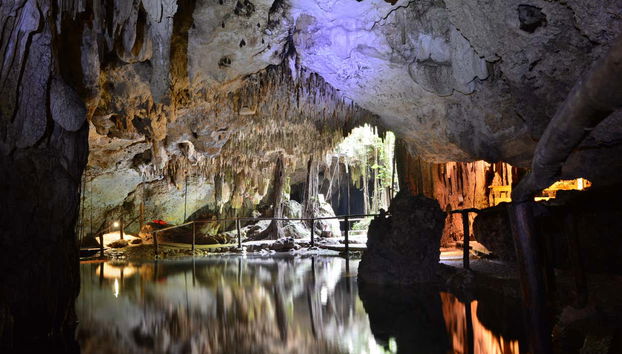 Akumal Bay + Balam Reserve Day Trip - Foto 4