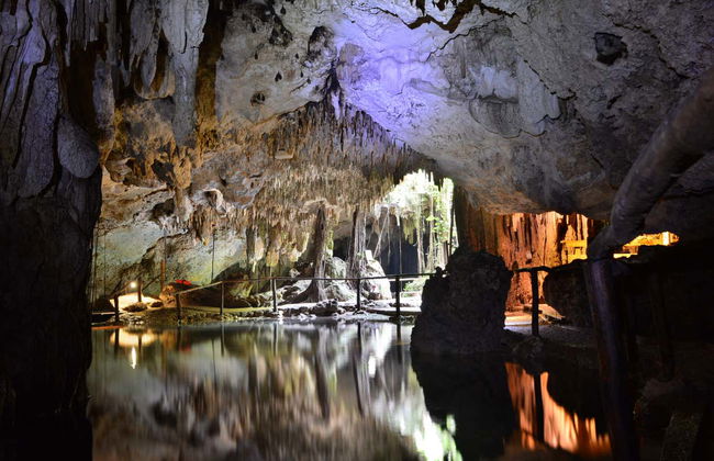 Excursión a la bahía de Akumal + Reserva Balam - Foto 4