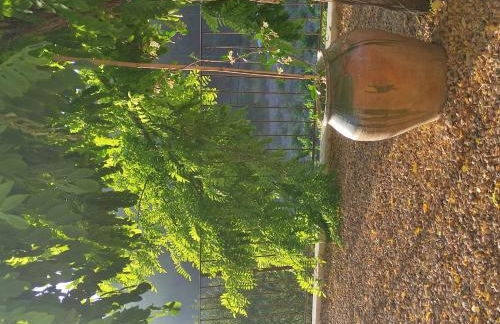 Villa Serrano, La casa rural de los mil suelos - Foto 56