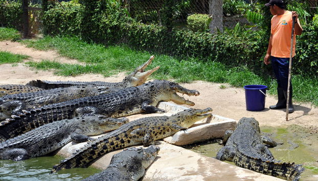 Langkawi Round Island Tour from Datai ,Tanjung Rhu and Westin - Photo 5