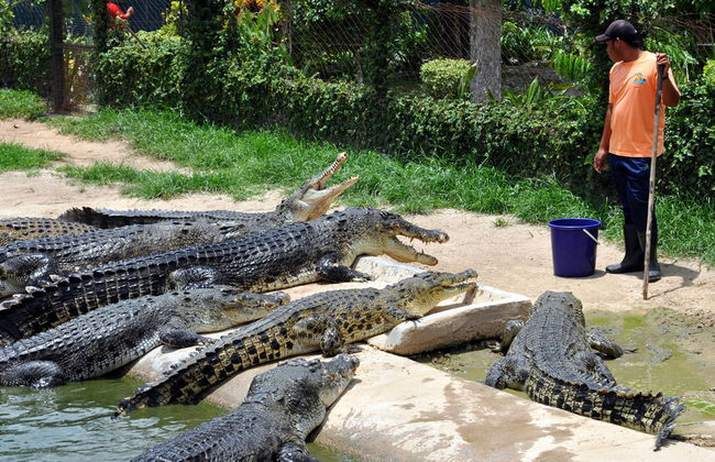 Langkawi Round Island Tour from Datai ,Tanjung Rhu and Westin - Foto 5