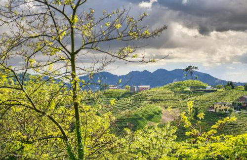 Duca Di Dolle Wine & Relais - Foto 46