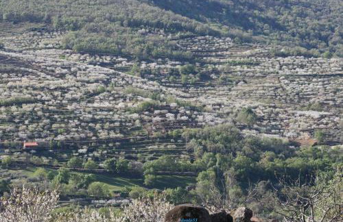 La Seguirilla del Jerte - Foto 51