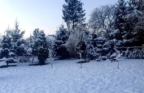 Agroturystyka Sielska Kraina - Foto 79