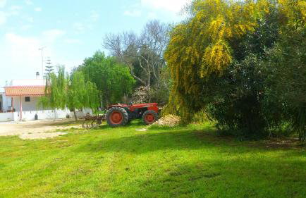 AGRITURISMO LE TAGLIATE - Foto 64