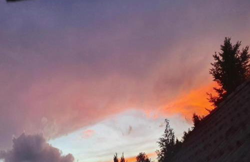 Apartment in Kleines Wiesental - Foto 57