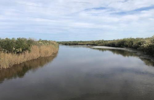 Marché des Capucins - Calme - Lumineux - Garage - Foto 39
