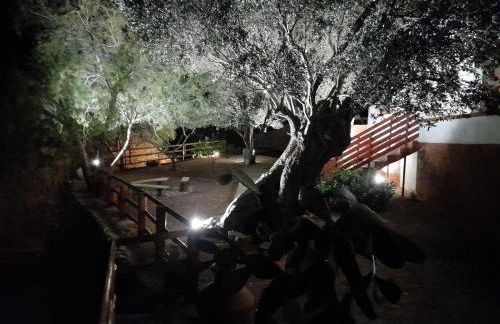 Aegean Heaven - Foto 61