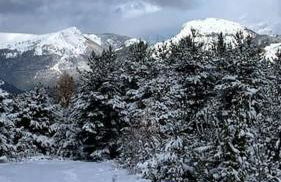 La joue du loup Bord des pistes - Chalet en bois de charme pour 10 personnes - Photo 35