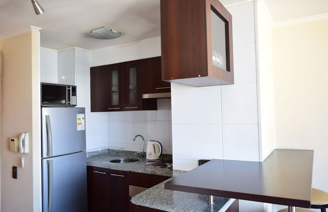 Santiago Furnished Apartments - Foto 17