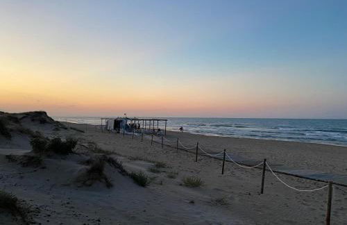 Casa Auramar Oliva Nova - Photo 53